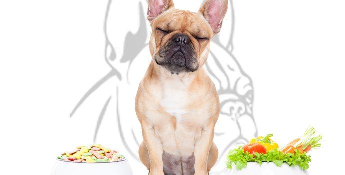 L’alimentation du bouledogue français